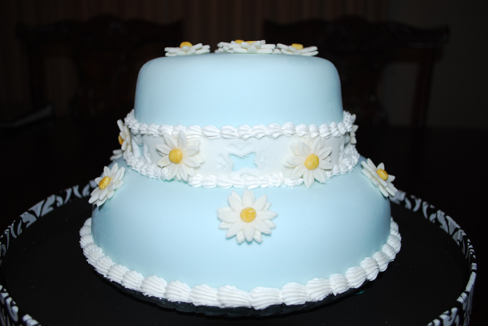 Daisy_Cake___Finished___3_by_BPHaines.jpg